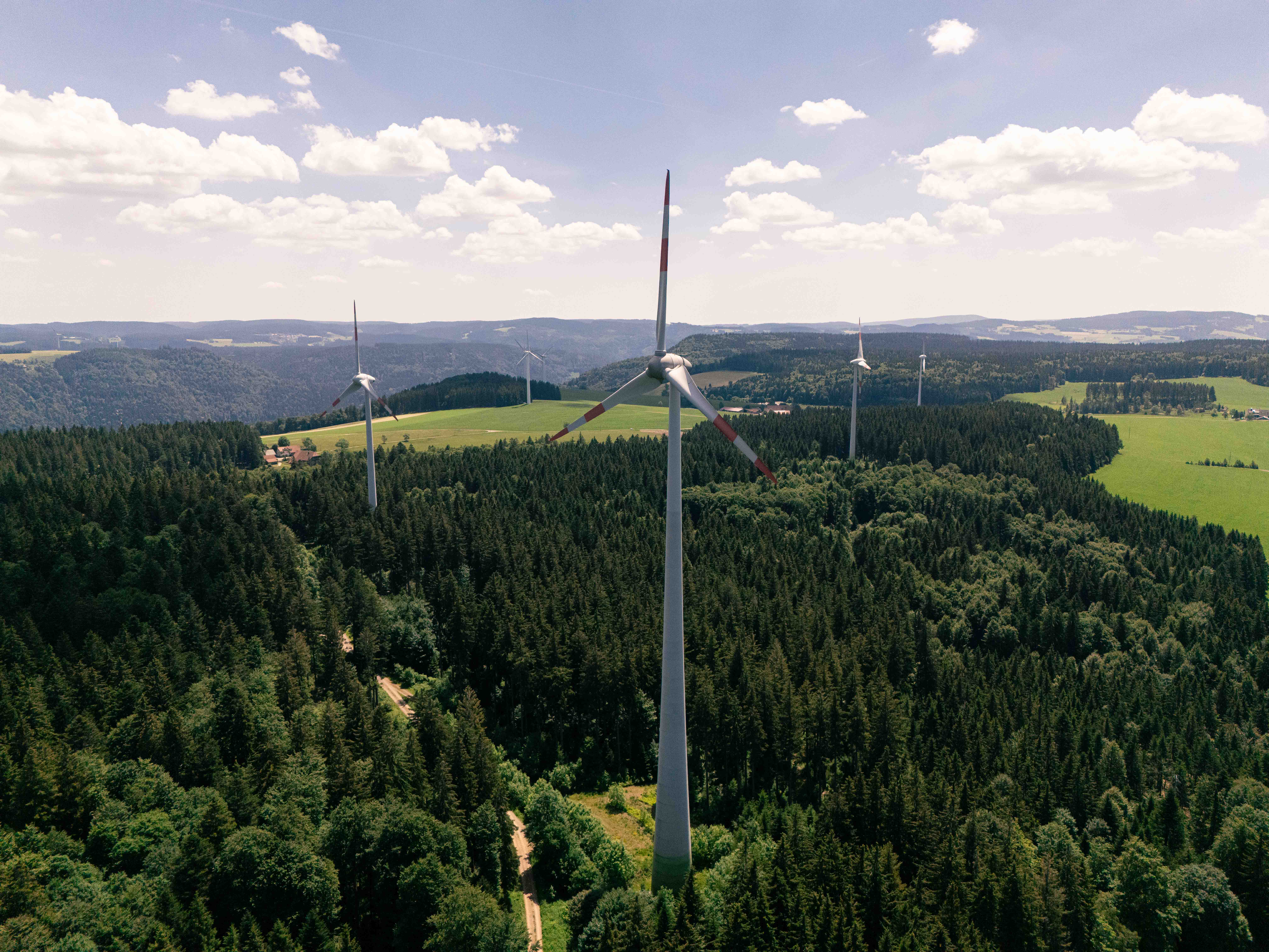 Windräder der Ökostromgruppe auf der Platte